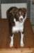 crazy1year9monthsold_small.jpg