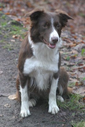 crazy2years2monthsold.jpg