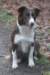 crazy2years2monthsold_small.jpg
