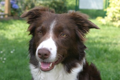 crazy2years9monthsold.jpg