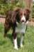 crazy2years9monthsold2_small.jpg