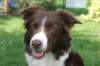 crazy2years9monthsold_small.jpg