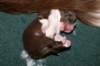 crazy3daysold2_small.jpg