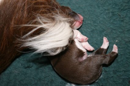crazy3daysold3.jpg