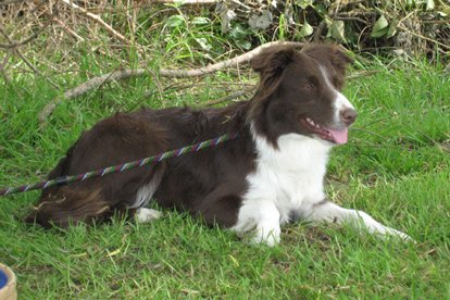 crazy3years6monthsold.jpg