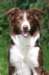 crazy3years6monthsold2_small.jpg
