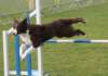 crazy3years6monthsoldatbonheiden5_small.jpg