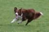 crazy3years9monthsold2_small.jpg