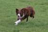 crazy3years9monthsold3_small.jpg