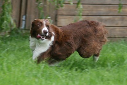 crazy3years9monthsold4.jpg