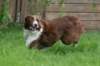 crazy3years9monthsold4_small.jpg