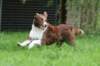 crazy3years9monthsold5_small.jpg