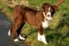 crazy5monthsold_small.jpg