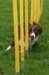 crazyslalom3years2monthsold_small.jpg