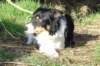 linny2yearsold2_small.jpg