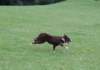 folly17monthsold8_small.jpg