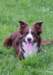 folly18monthsold_small.jpg