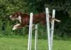 follyjump3_small.jpg