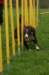 follyslalom11monthsold_small.jpg
