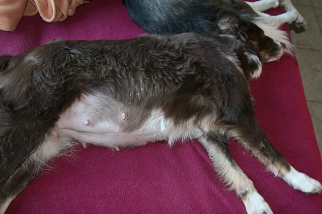 folly8years1monthold14daysbeforebirth2.jpg