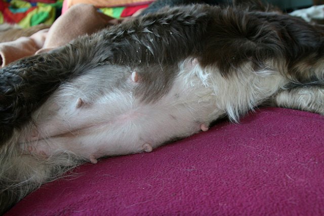 folly8years1monthold14daysbeforebirth3.jpg