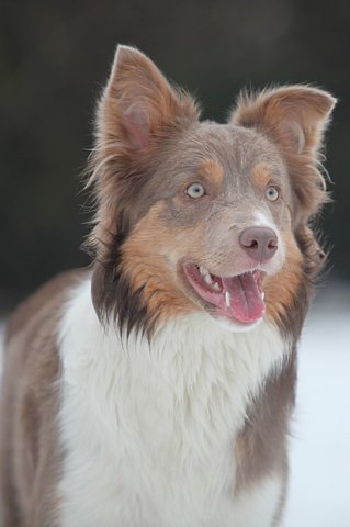 c38honey9monthsold.jpg