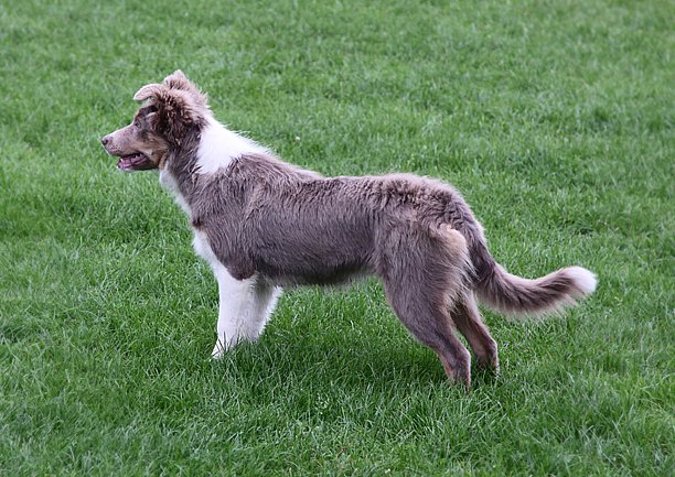 honey5monthsold5.jpg