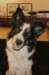 charlie1year7monthsold_small.jpg
