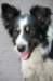 charlie2years3monthsold_small.jpg