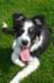 charlie35monthsold3_small.jpg