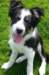 charlie35monthsold4_small.jpg