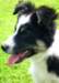 charlie35monthsold5_small.jpg