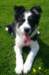 charlie35monthsold6_small.jpg