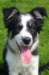 charlie35monthsold7_small.jpg