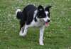 charlie6monthsold10_small.jpg