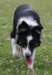 charlie6monthsold11_small.jpg