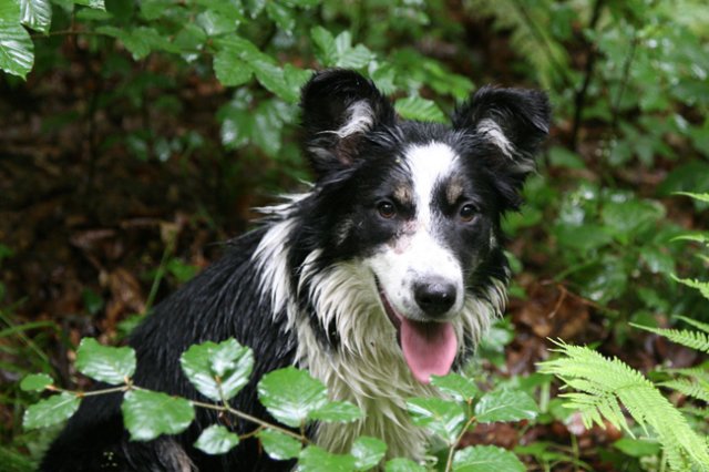 charlie6monthsold13.jpg