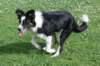 charlie6monthsold16_small.jpg