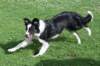 charlie6monthsold17_small.jpg