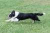charlie6monthsold19_small.jpg