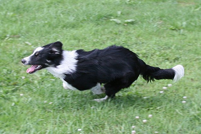 charlie6monthsold20.jpg