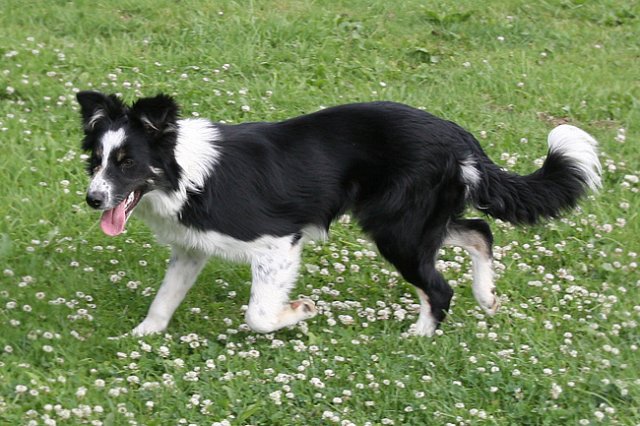charlie6monthsold21.jpg