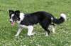 charlie6monthsold21_small.jpg