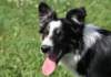 charlie6monthsold23_small.jpg