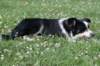 charlie6monthsold24_small.jpg