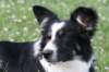 charlie6monthsold25_small.jpg