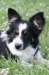 charlie6monthsold26_small.jpg