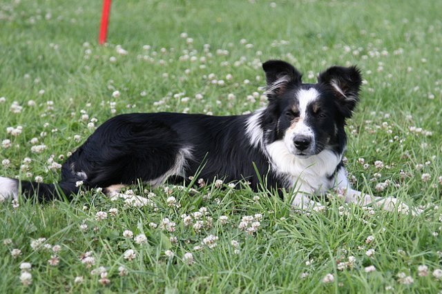 charlie6monthsold27.jpg