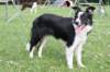 charlie6monthsold28_small.jpg