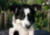 charlie6monthsold2_small.jpg